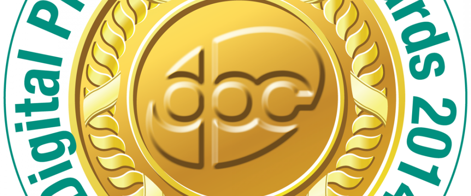 DPA2014 Finalist logo